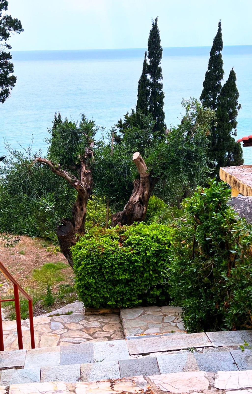 Stefanos Apartments By Sv Alians Agios Gordios  Eksteriør billede